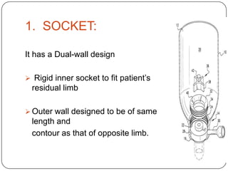 (>60years) SECONDARY TO TUMOR OR MEDICAL DISEASE AMPUTATION LEVELS:Trans-Phalangeal Amputation