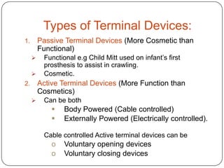Trans-Metacarpal Amputation