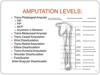Cosmetically pleasing