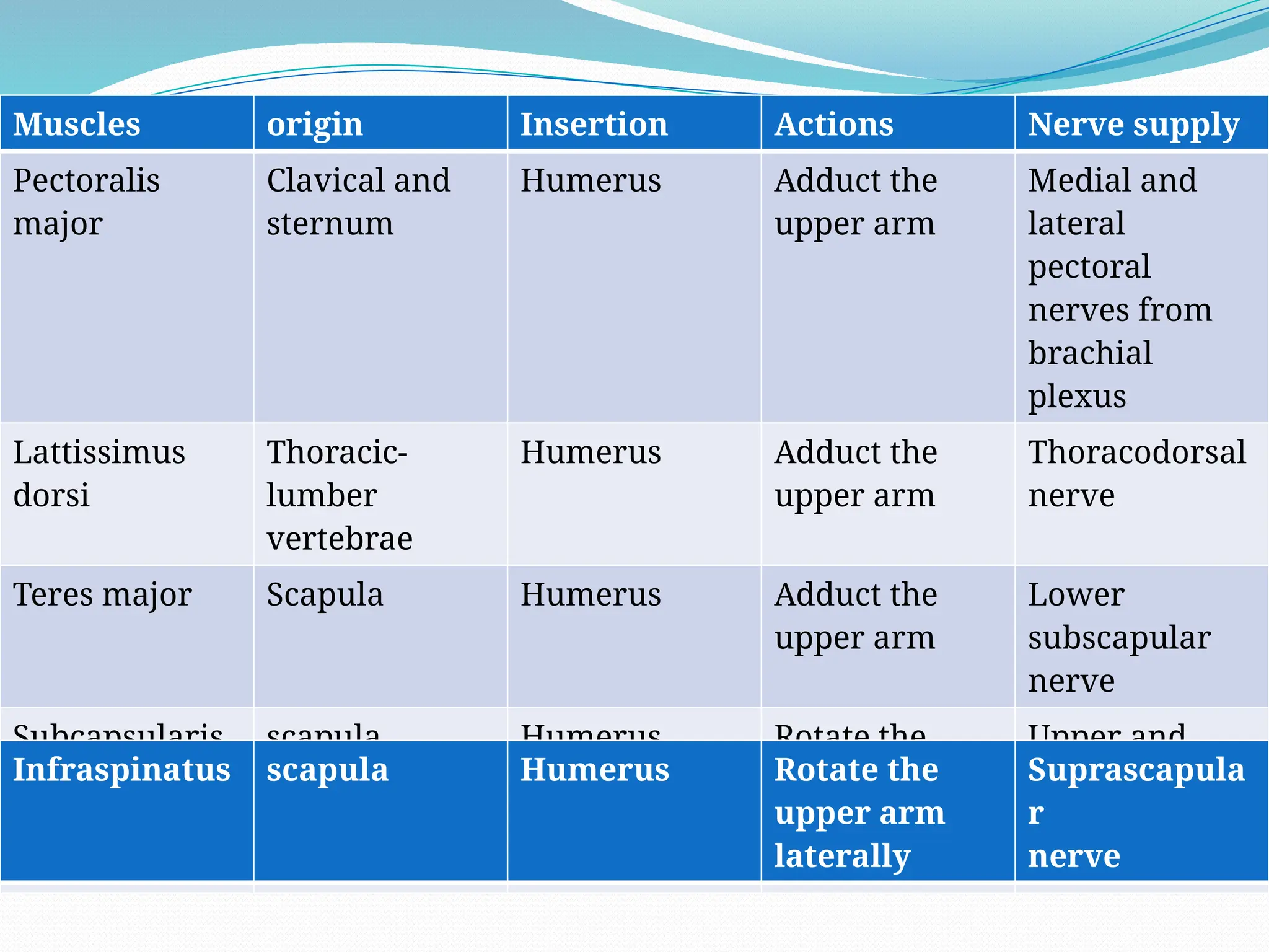 Muscles origin Insertion Actions Nerve supply
Pectoralis
major
Clavical and
sternum
Humerus Adduct the
upper arm
Medial and
lateral
pectoral
nerves from
brachial
plexus
Lattissimus
dorsi
Thoracic-
lumber
vertebrae
Humerus Adduct the
upper arm
Thoracodorsal
nerve
Teres major Scapula Humerus Adduct the
upper arm
Lower
subscapular
nerve
Subcapsularis scapula Humerus Rotate the
upper arm
medially
Upper and
lower
subscapular
nerves
Infraspinatus scapula Humerus Rotate the
upper arm
laterally
Suprascapula
r
nerve
 