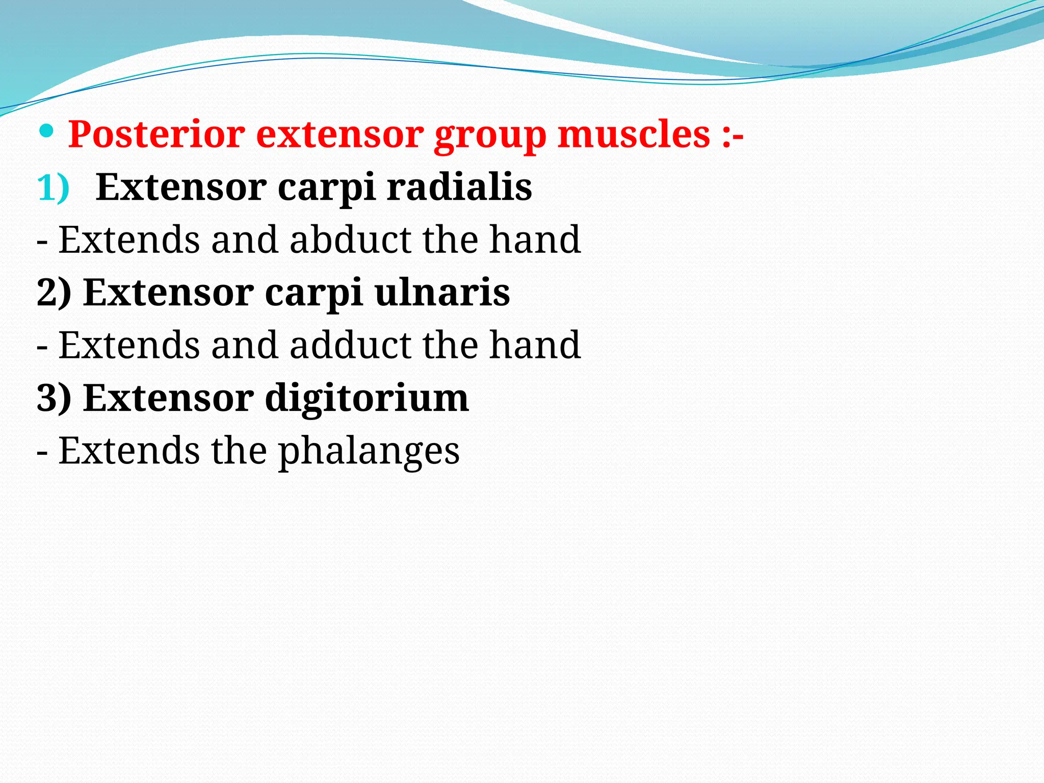  Posterior extensor group muscles :-
1) Extensor carpi radialis
- Extends and abduct the hand
2) Extensor carpi ulnaris
- Extends and adduct the hand
3) Extensor digitorium
- Extends the phalanges
 