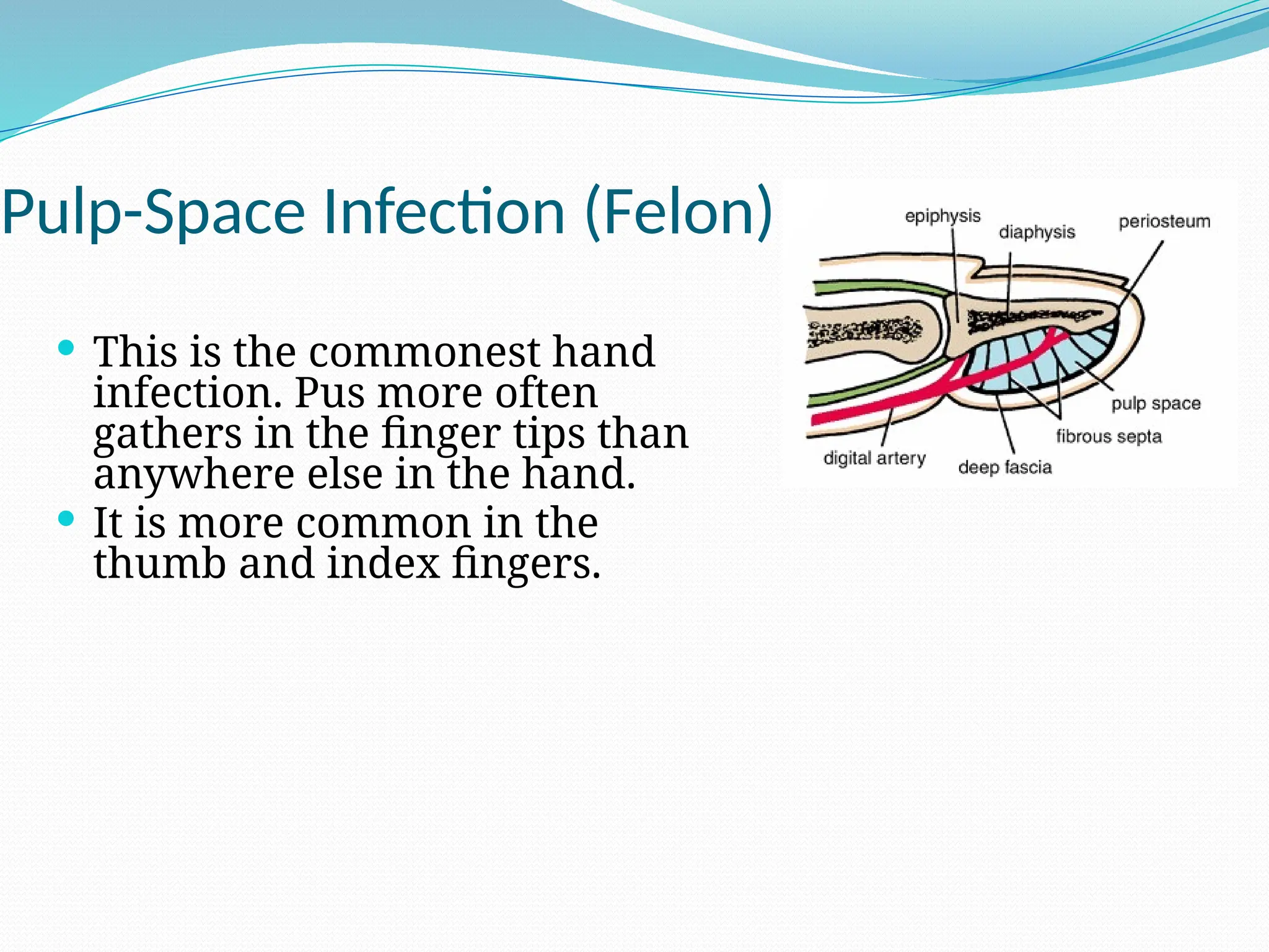 Pulp-Space Infection (Felon)
 This is the commonest hand
infection. Pus more often
gathers in the finger tips than
anywhere else in the hand.
 It is more common in the
thumb and index fingers.
 