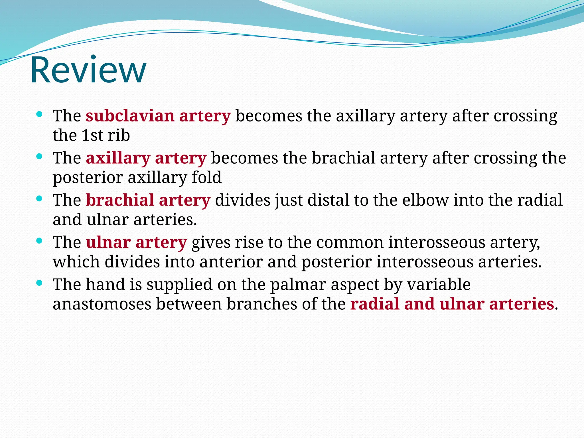 Review
 The subclavian artery becomes the axillary artery after crossing
the 1st rib
 The axillary artery becomes the brachial artery after crossing the
posterior axillary fold
 The brachial artery divides just distal to the elbow into the radial
and ulnar arteries.
 The ulnar artery gives rise to the common interosseous artery,
which divides into anterior and posterior interosseous arteries.
 The hand is supplied on the palmar aspect by variable
anastomoses between branches of the radial and ulnar arteries.
 