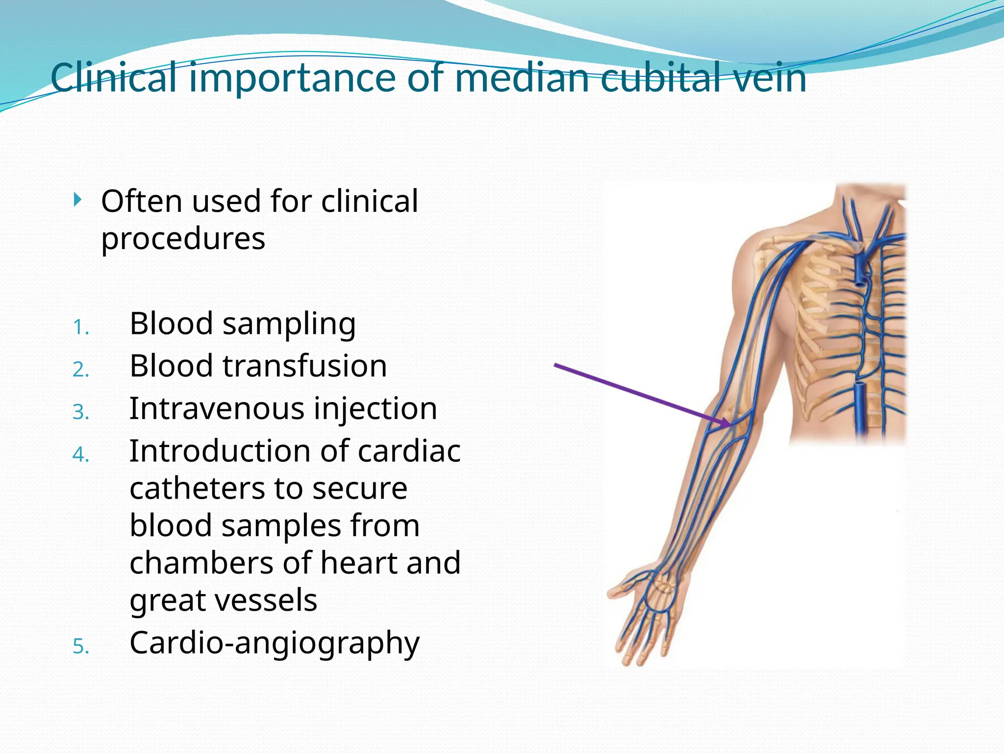 Clinical importance of median cubital vein
 Often used for clinical
procedures
1. Blood sampling
2. Blood transfusion
3. Intravenous injection
4. Introduction of cardiac
catheters to secure
blood samples from
chambers of heart and
great vessels
5. Cardio-angiography
 