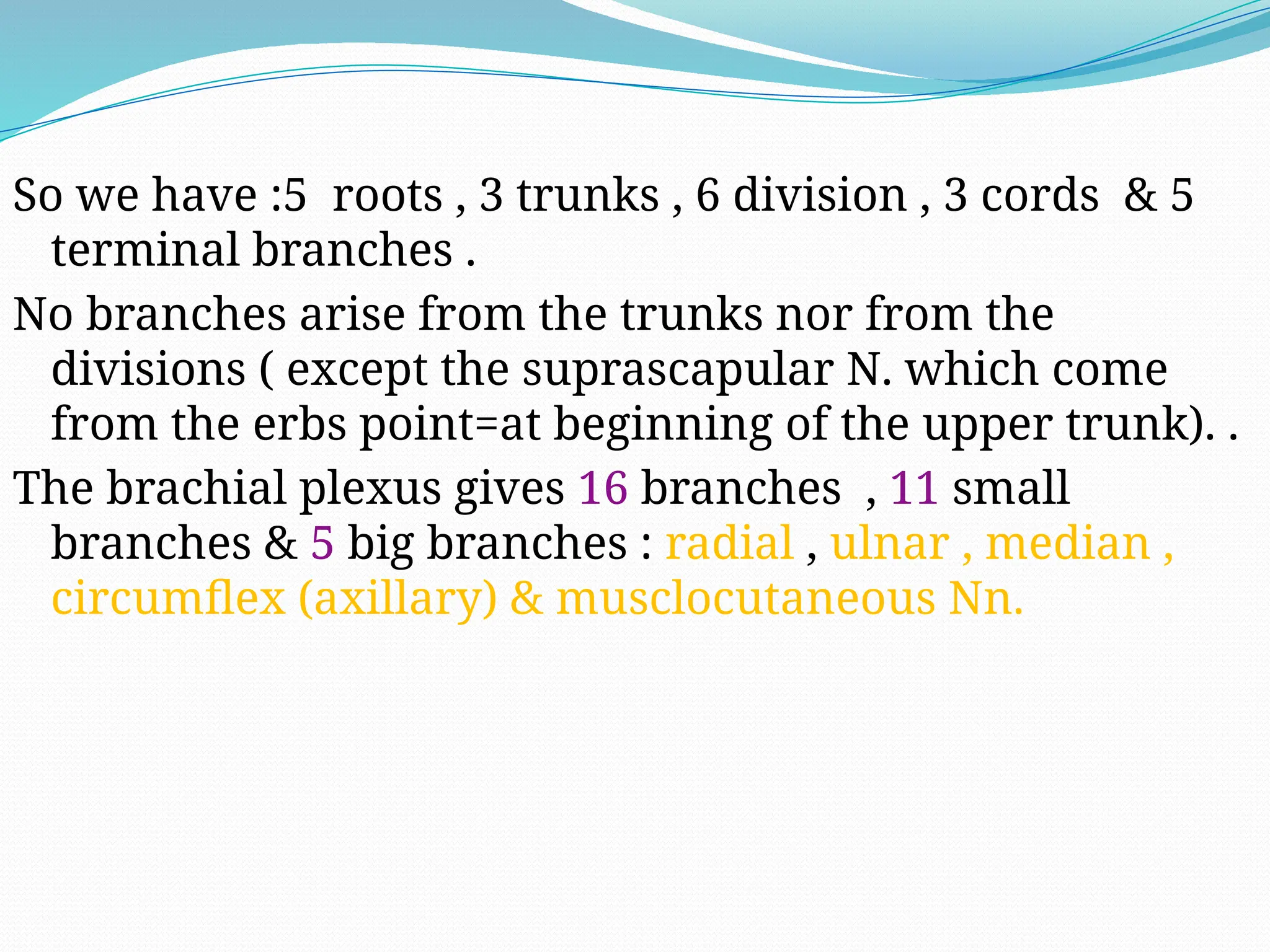 So we have :5 roots , 3 trunks , 6 division , 3 cords & 5
terminal branches .
No branches arise from the trunks nor from the
divisions ( except the suprascapular N. which come
from the erbs point=at beginning of the upper trunk). .
The brachial plexus gives 16 branches , 11 small
branches & 5 big branches : radial , ulnar , median ,
circumflex (axillary) & musclocutaneous Nn.
 