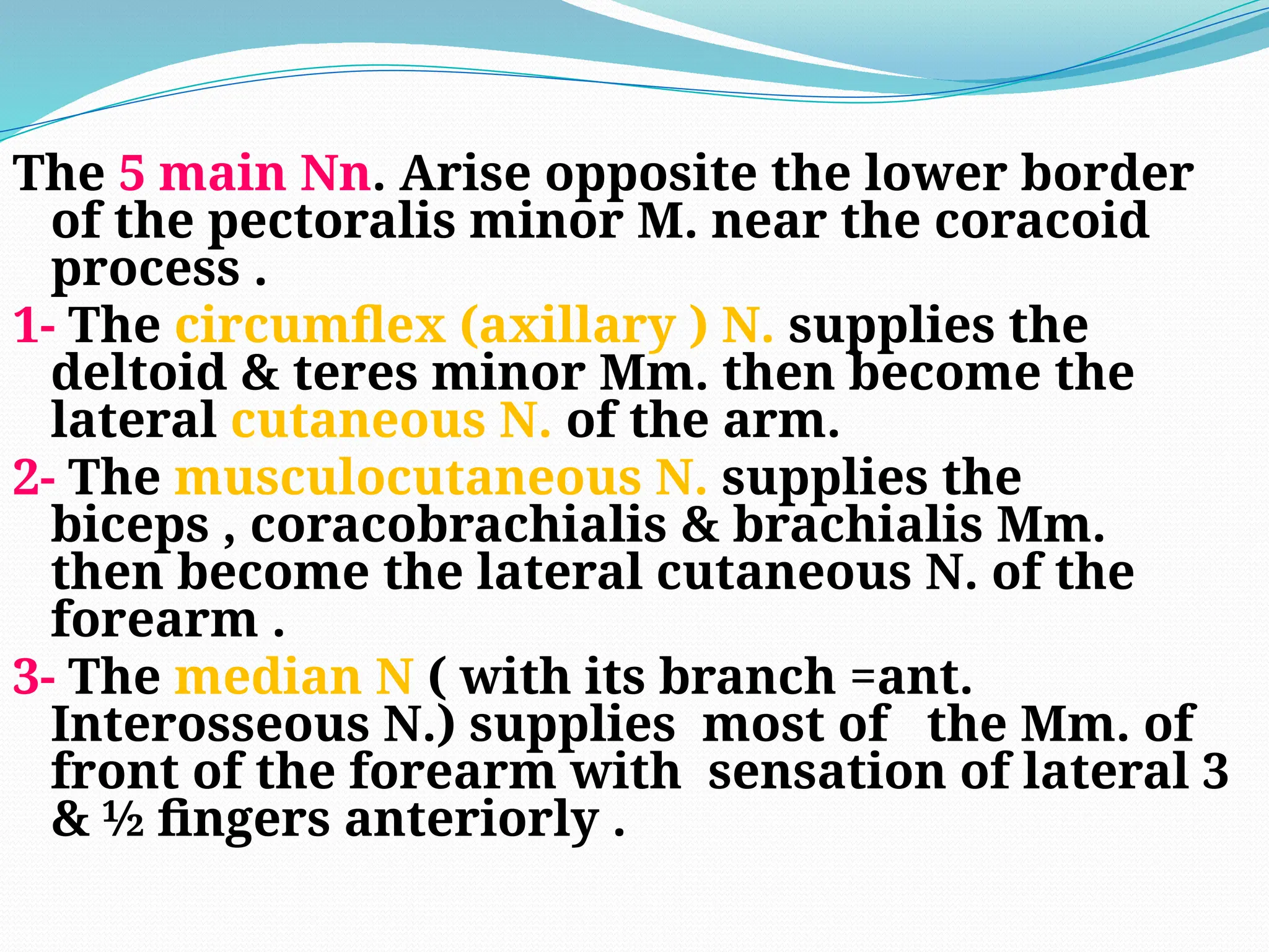 The 5 main Nn. Arise opposite the lower border
of the pectoralis minor M. near the coracoid
process .
1- The circumflex (axillary ) N. supplies the
deltoid & teres minor Mm. then become the
lateral cutaneous N. of the arm.
2- The musculocutaneous N. supplies the
biceps , coracobrachialis & brachialis Mm.
then become the lateral cutaneous N. of the
forearm .
3- The median N ( with its branch =ant.
Interosseous N.) supplies most of the Mm. of
front of the forearm with sensation of lateral 3
& ½ fingers anteriorly .
 
