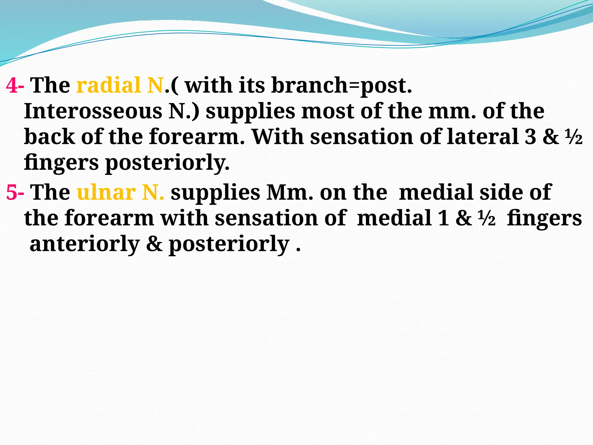 4- The radial N.( with its branch=post.
Interosseous N.) supplies most of the mm. of the
back of the forearm. With sensation of lateral 3 & ½
fingers posteriorly.
5- The ulnar N. supplies Mm. on the medial side of
the forearm with sensation of medial 1 & ½ fingers
anteriorly & posteriorly .
 