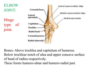 Upper Limb Joints.pdf............... . .. | PDF