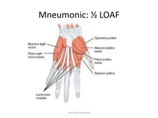 Upper limb mcqs joints and muscles by Dr. Shadab Kamal | PPTX