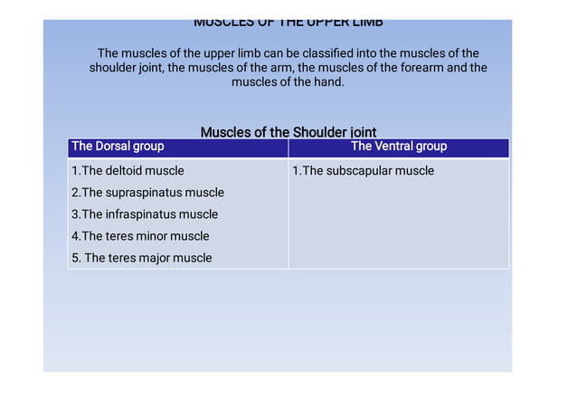 upper limb muscle anatomy.pdf