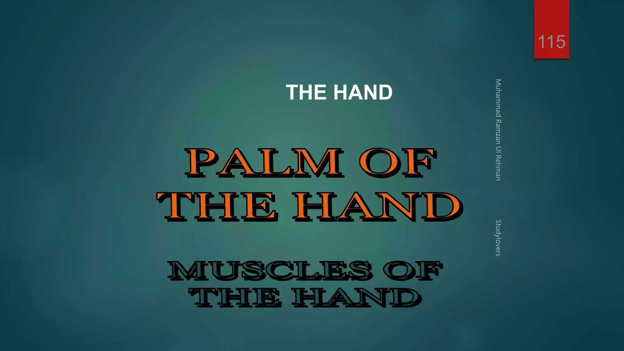 THE HAND 
115 
 
