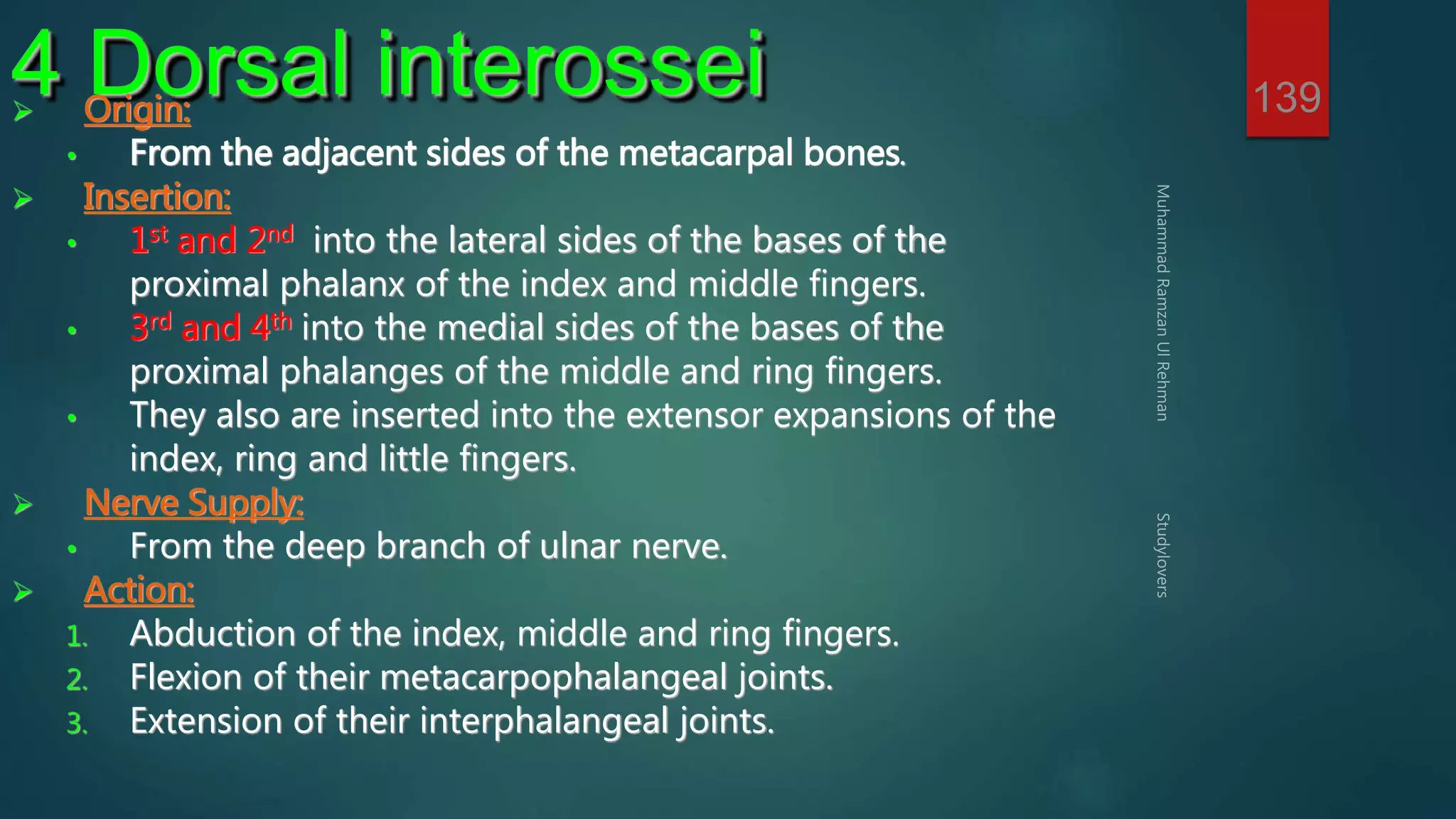 139 4 Dorsal interossei  Origin: 
• From the adjacent sides of the metacarpal bones. 
 Insertion: 
• 1st and 2nd into the lateral sides of the bases of the 
proximal phalanx of the index and middle fingers. 
• 3rd and 4th into the medial sides of the bases of the 
proximal phalanges of the middle and ring fingers. 
• They also are inserted into the extensor expansions of the 
index, ring and little fingers. 
 Nerve Supply: 
• From the deep branch of ulnar nerve. 
 Action: 
1. Abduction of the index, middle and ring fingers. 
2. Flexion of their metacarpophalangeal joints. 
3. Extension of their interphalangeal joints. 
 