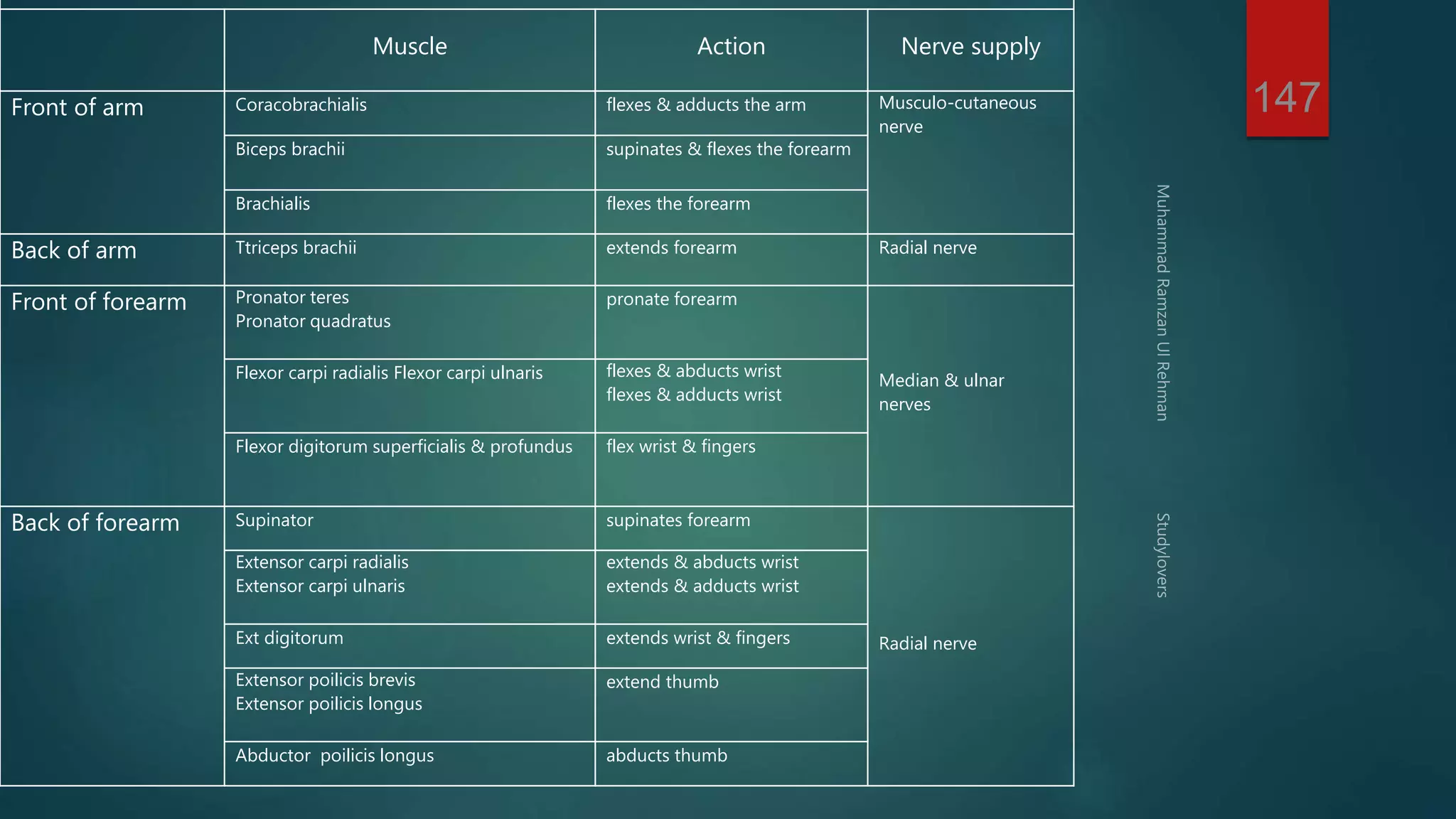 147 
Muscle Action Nerve supply 
Musculo-cutaneous 
nerve 
Front of arm Coracobrachialis flexes & adducts the arm 
Biceps brachii supinates & flexes the forearm 
Brachialis flexes the forearm 
Back of arm Ttriceps brachii extends forearm Radial nerve 
Median & ulnar 
nerves 
Pronator teres pronate forearm 
Pronator quadratus 
Front of forearm 
flexes & abducts wrist 
flexes & adducts wrist 
Flexor carpi radialis Flexor carpi ulnaris 
Flexor digitorum superficialis & profundus flex wrist & fingers 
Radial nerve 
Back of forearm Supinator supinates forearm 
extends & abducts wrist 
extends & adducts wrist 
Extensor carpi radialis 
Extensor carpi ulnaris 
Ext digitorum extends wrist & fingers 
Extensor poilicis brevis extend thumb 
Extensor poilicis longus 
Abductor poilicis longus abducts thumb 
 