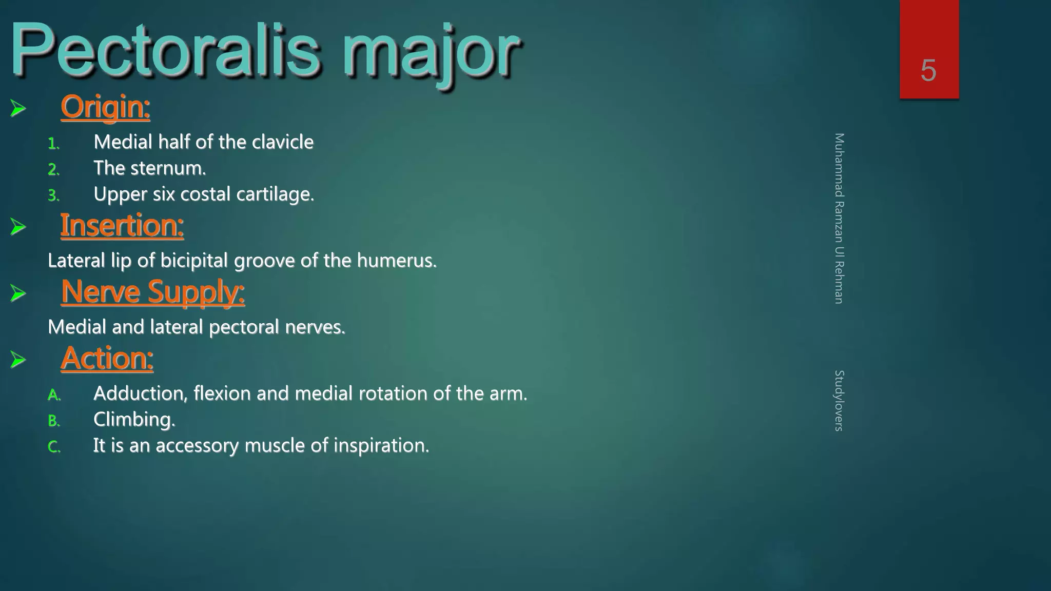 5 Pectoralis major 
 Origin: 
1. Medial half of the clavicle 
2. The sternum. 
3. Upper six costal cartilage. 
 Insertion: 
Lateral lip of bicipital groove of the humerus. 
 Nerve Supply: 
Medial and lateral pectoral nerves. 
 Action: 
A. Adduction, flexion and medial rotation of the arm. 
B. Climbing. 
C. It is an accessory muscle of inspiration. 
 