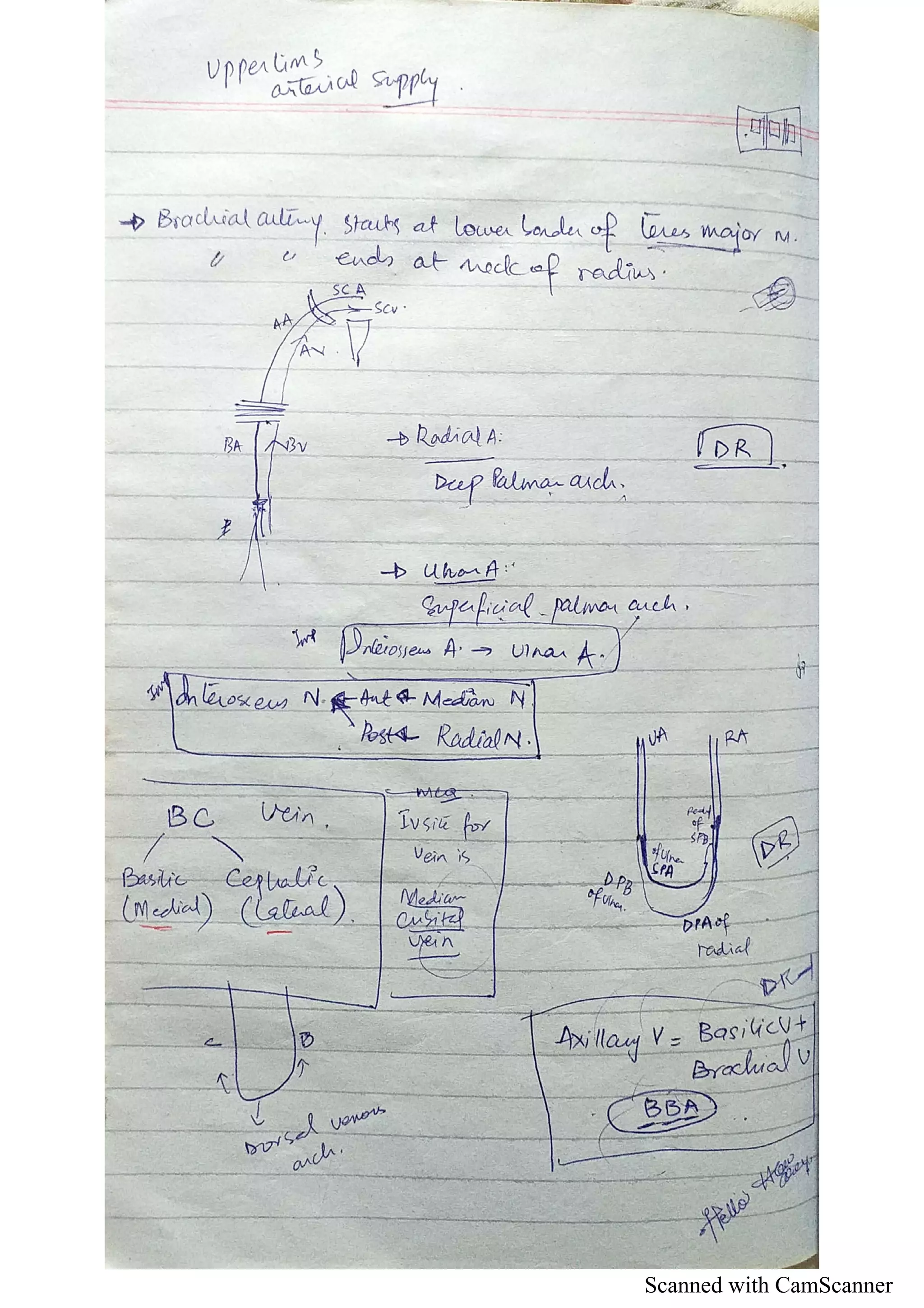 Scanned with CamScanner