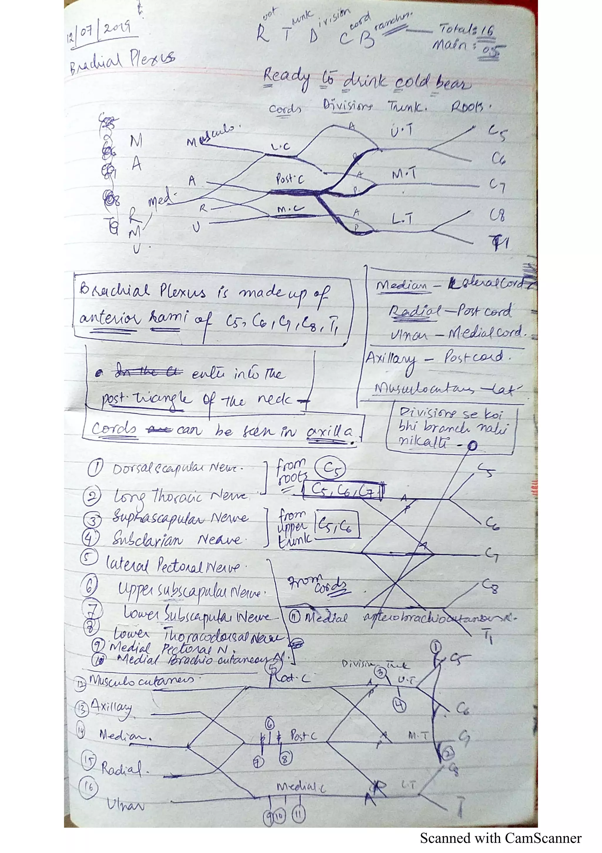 Scanned with CamScanner