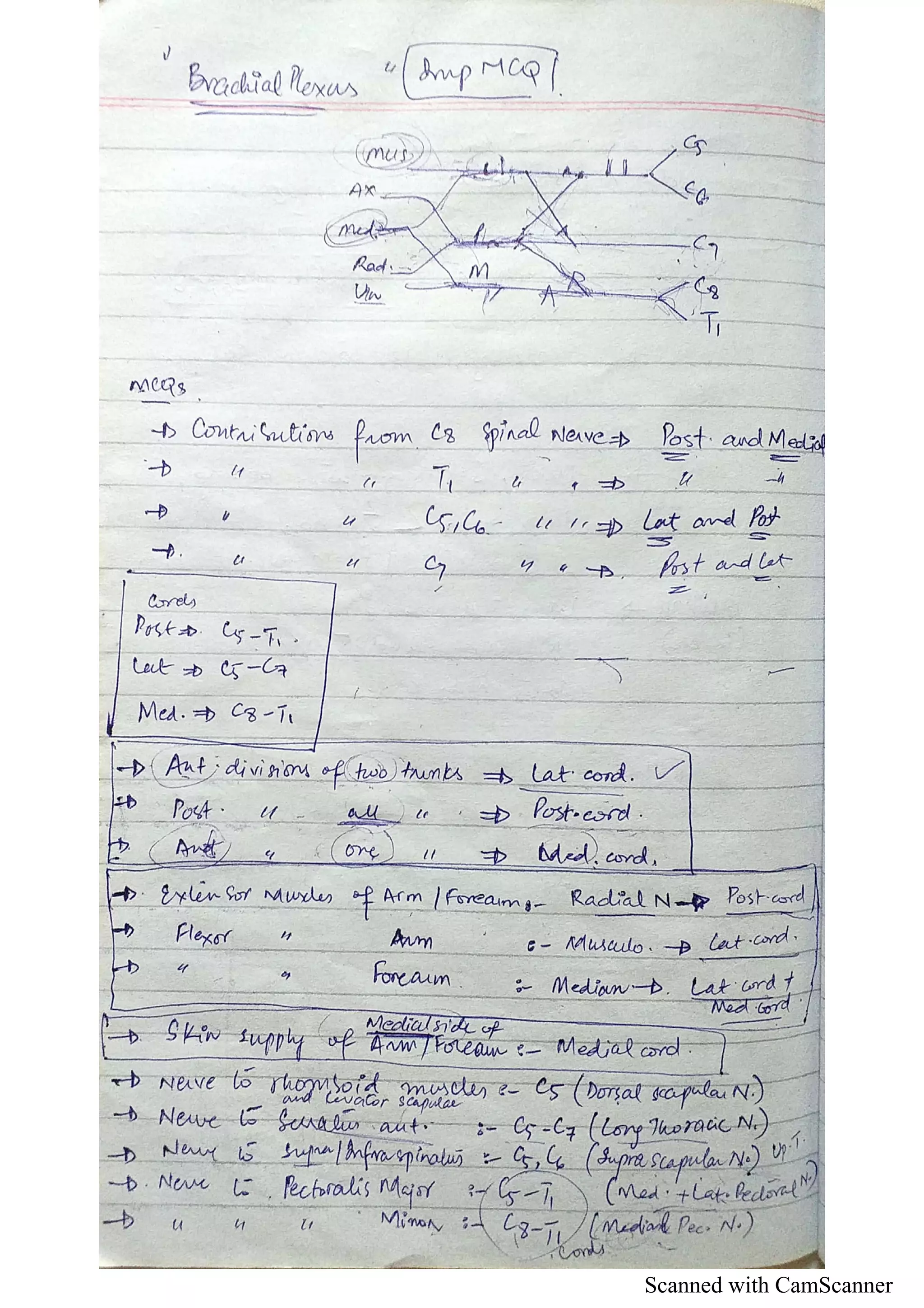 Scanned with CamScanner