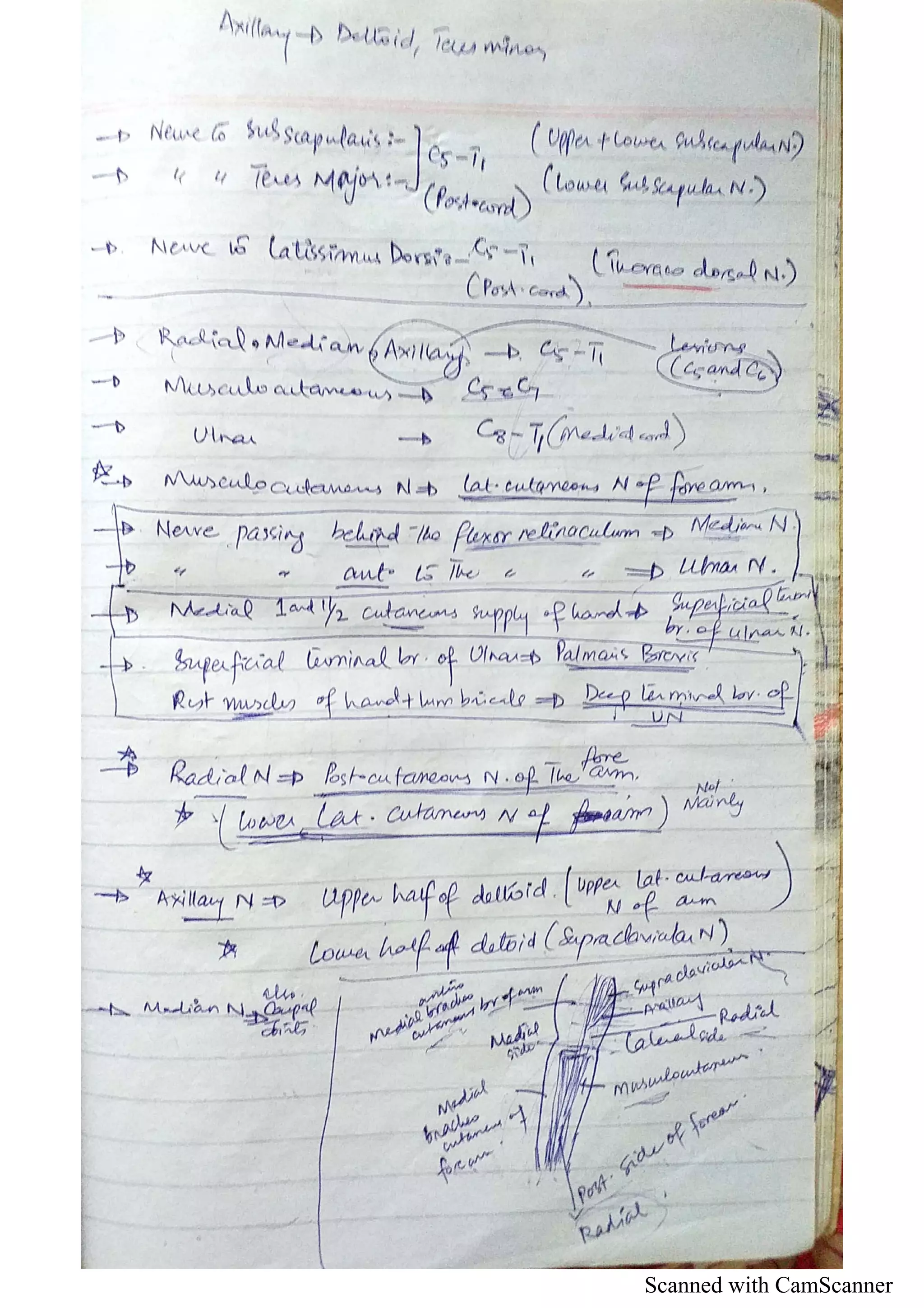 Scanned with CamScanner