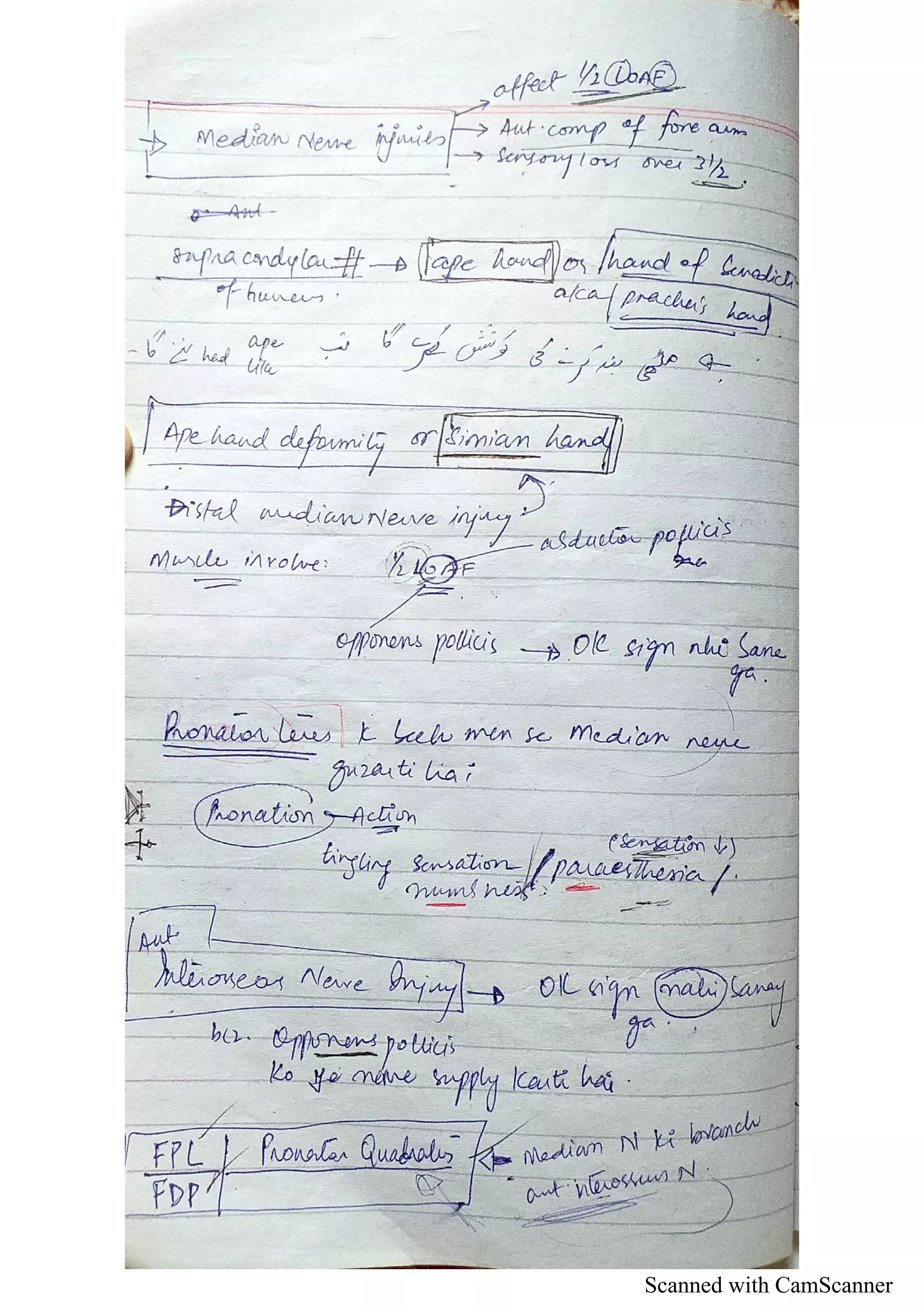 Scanned with CamScanner