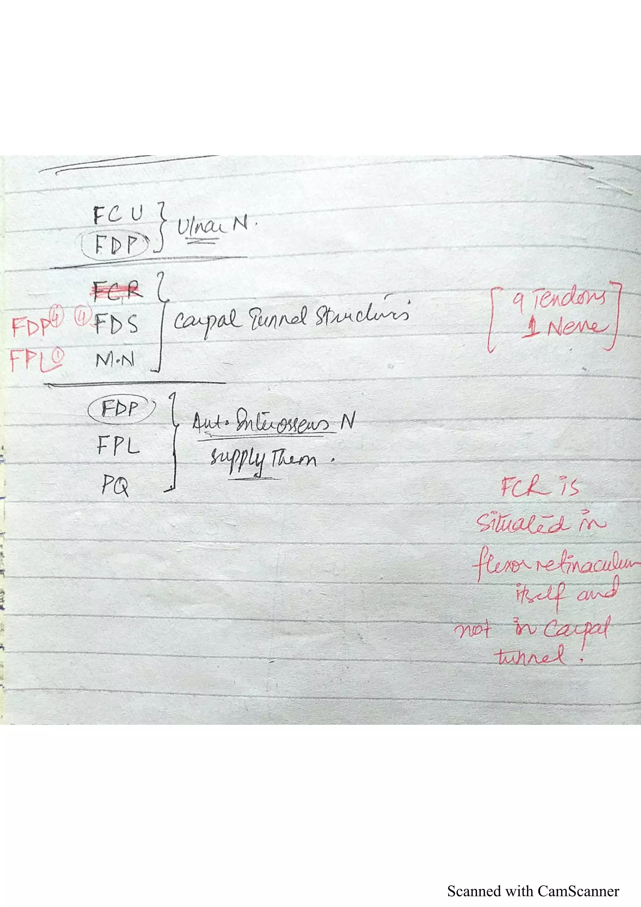 Scanned with CamScanner