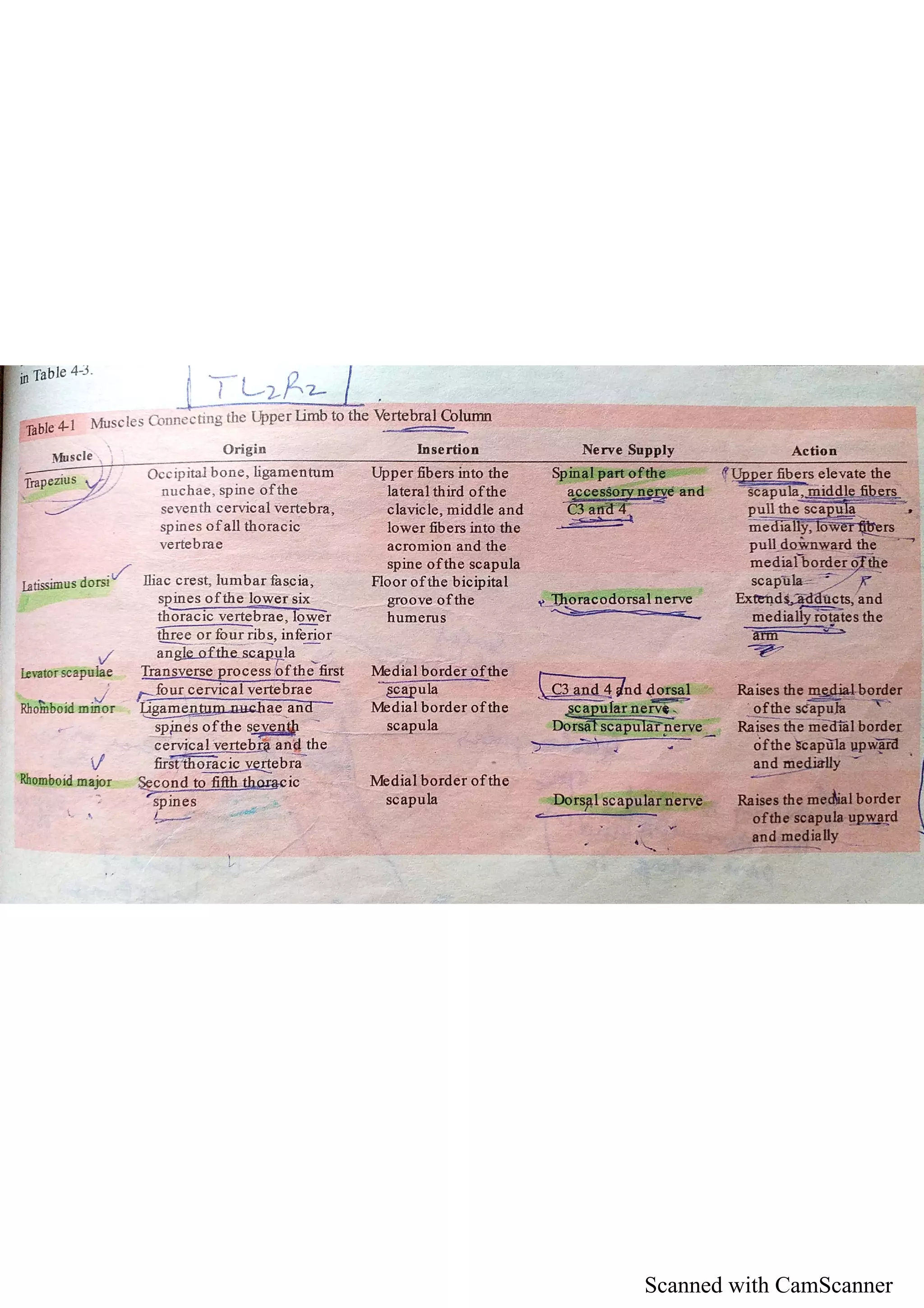 Scanned with CamScanner