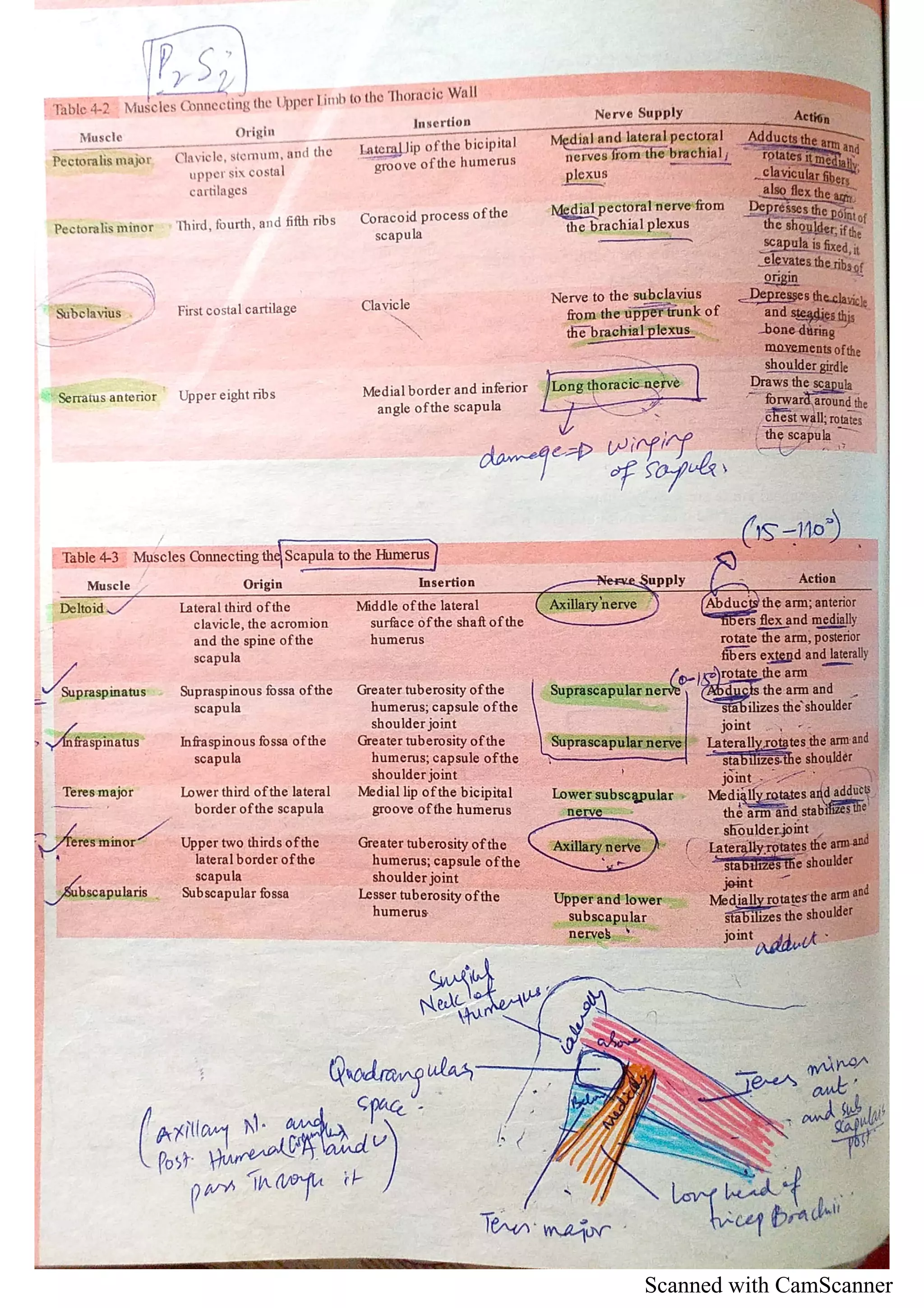 Scanned with CamScanner