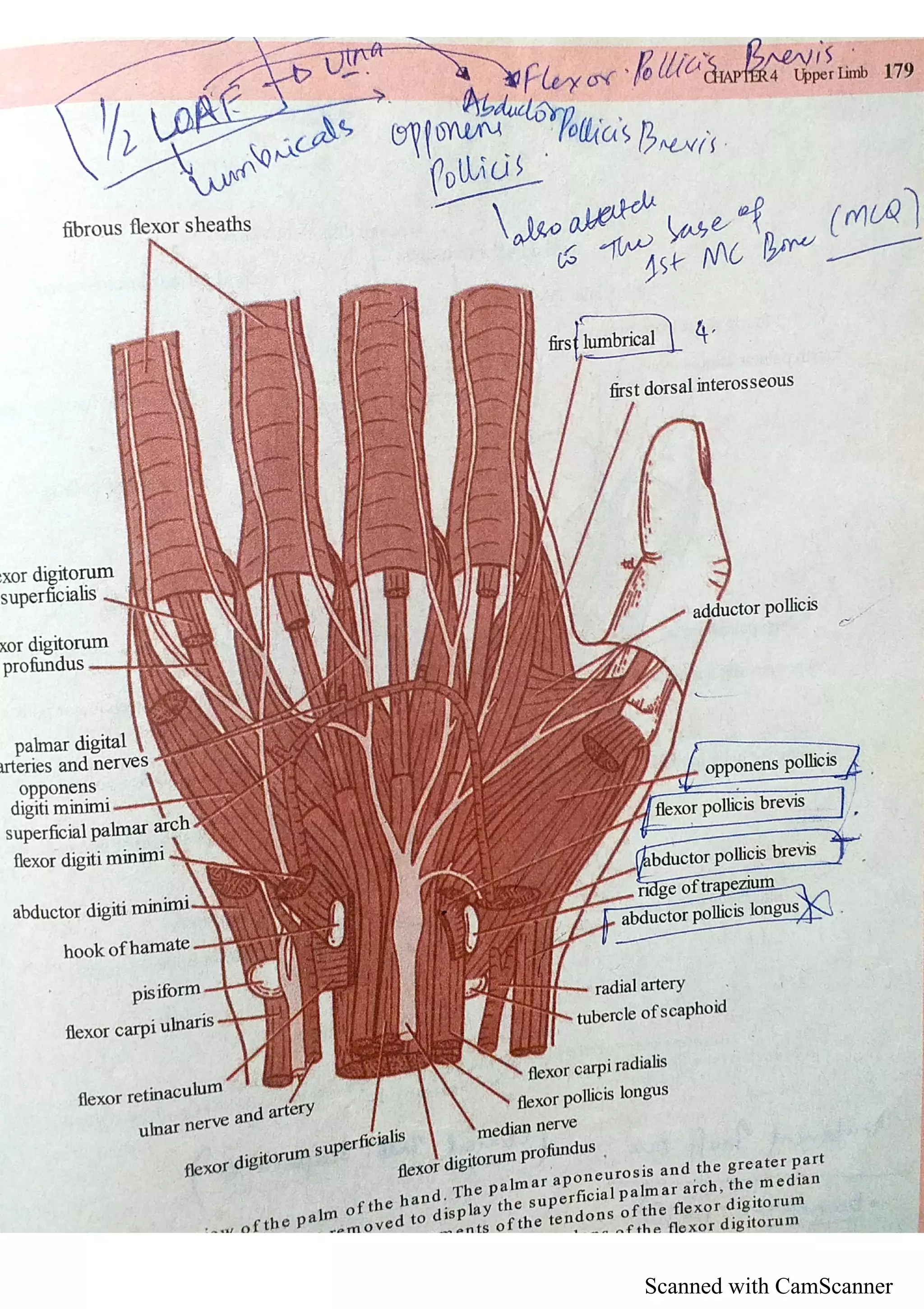Scanned with CamScanner