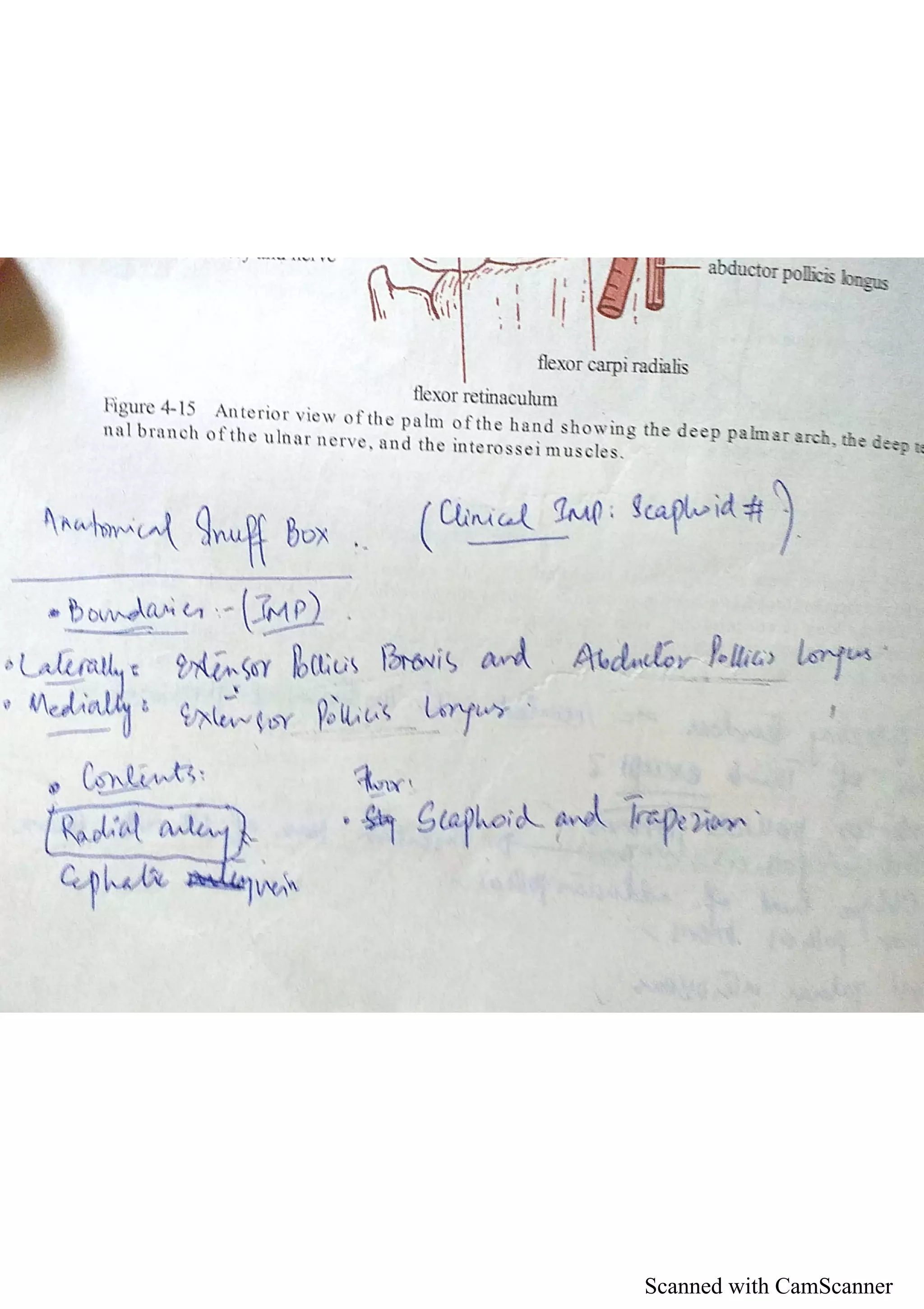 Scanned with CamScanner