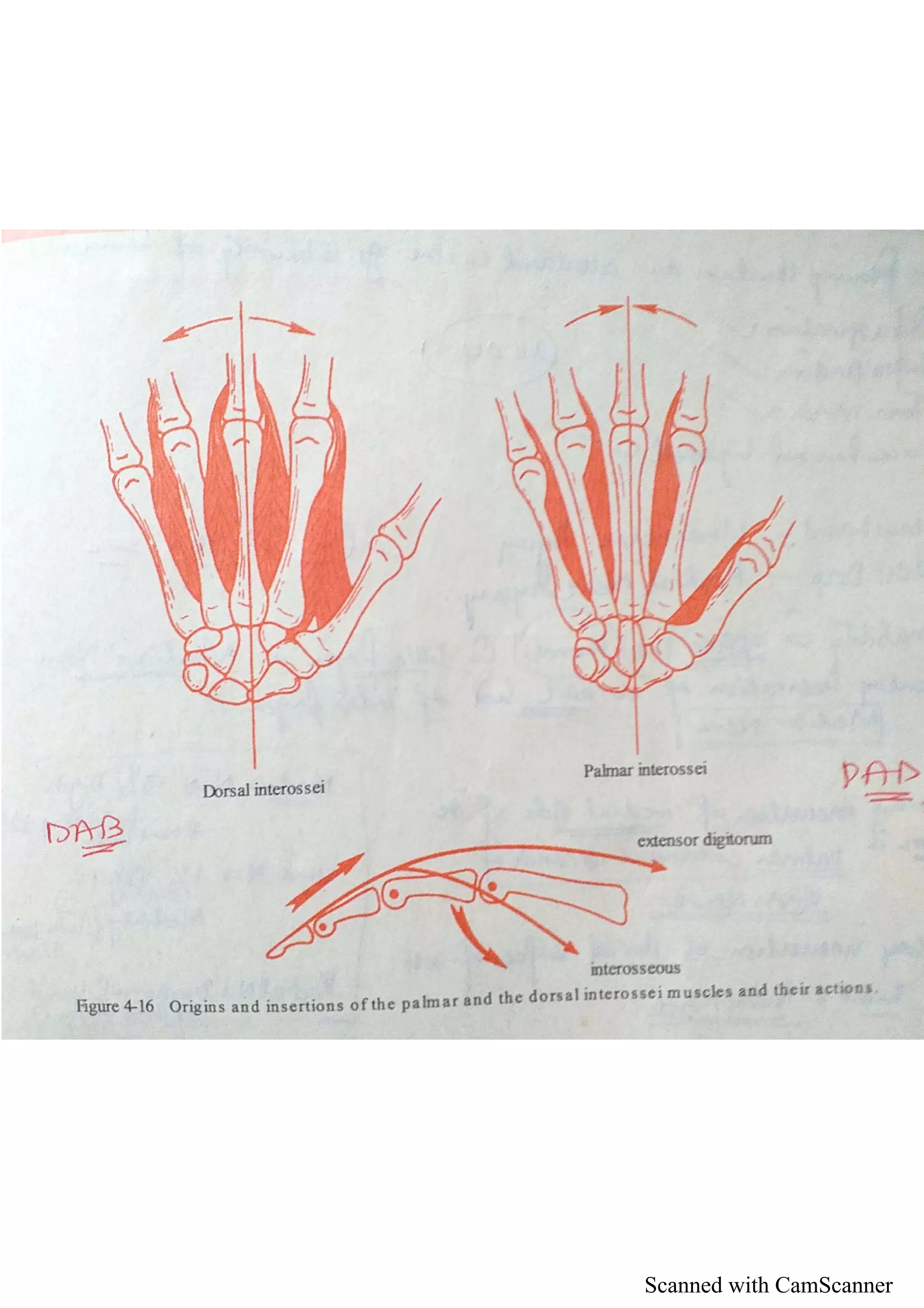 Scanned with CamScanner
