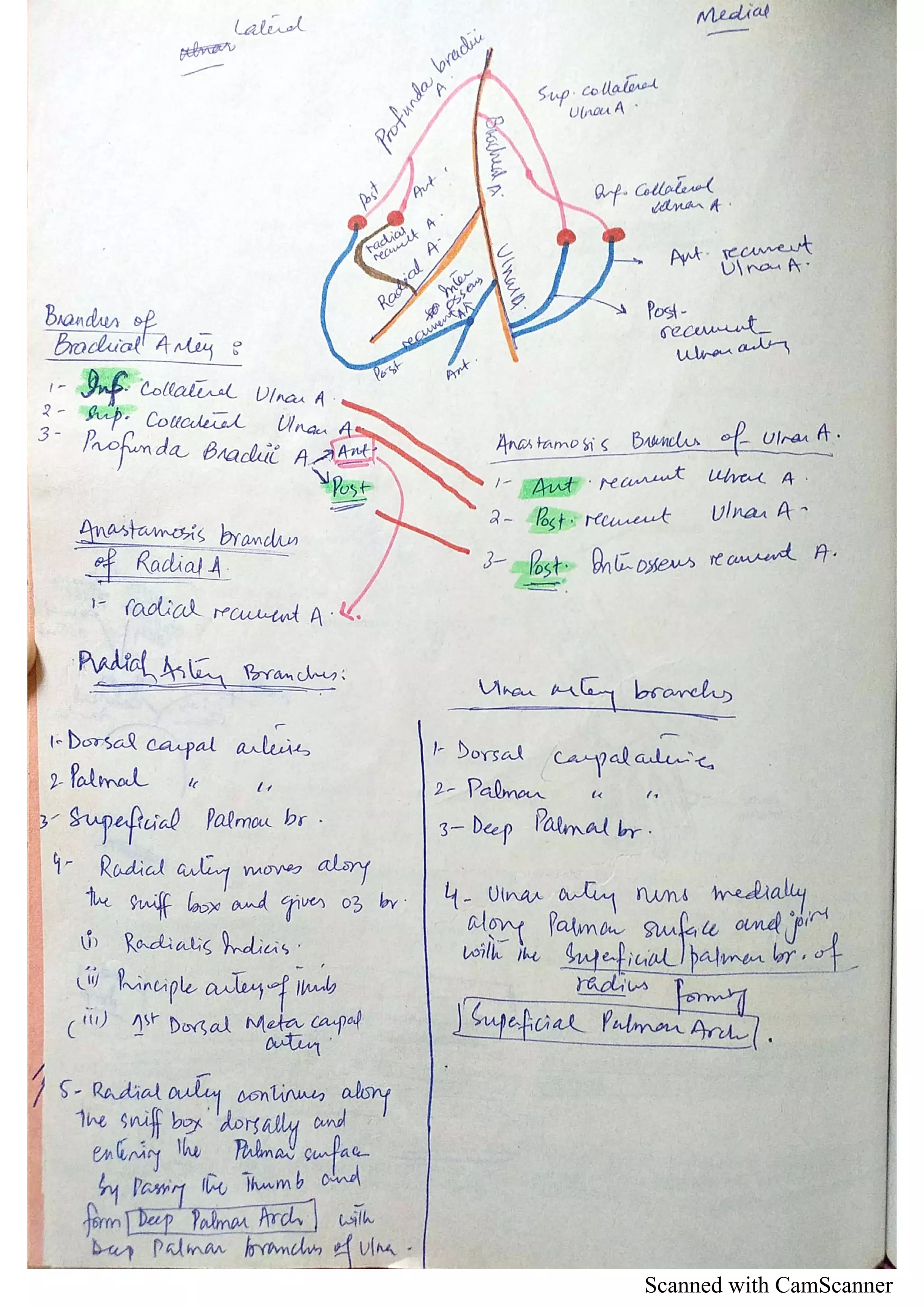 Scanned with CamScanner