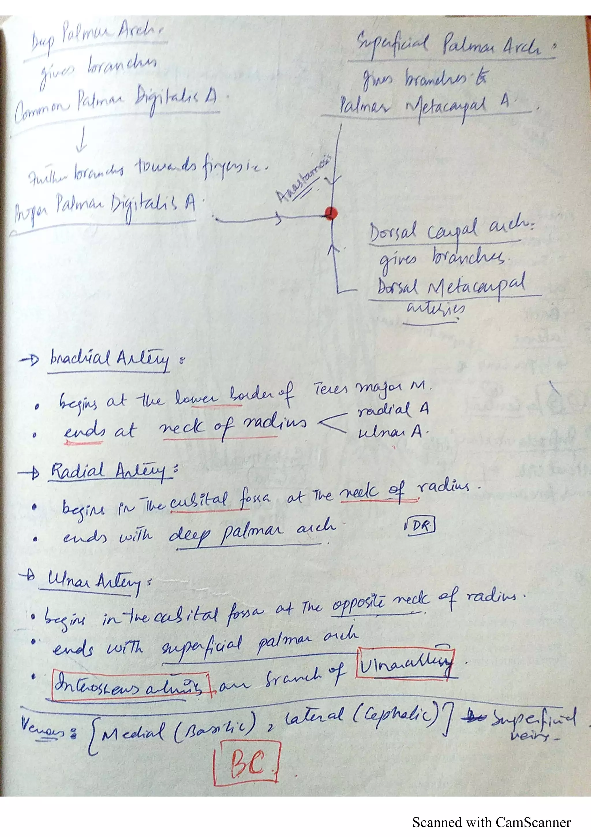 Scanned with CamScanner