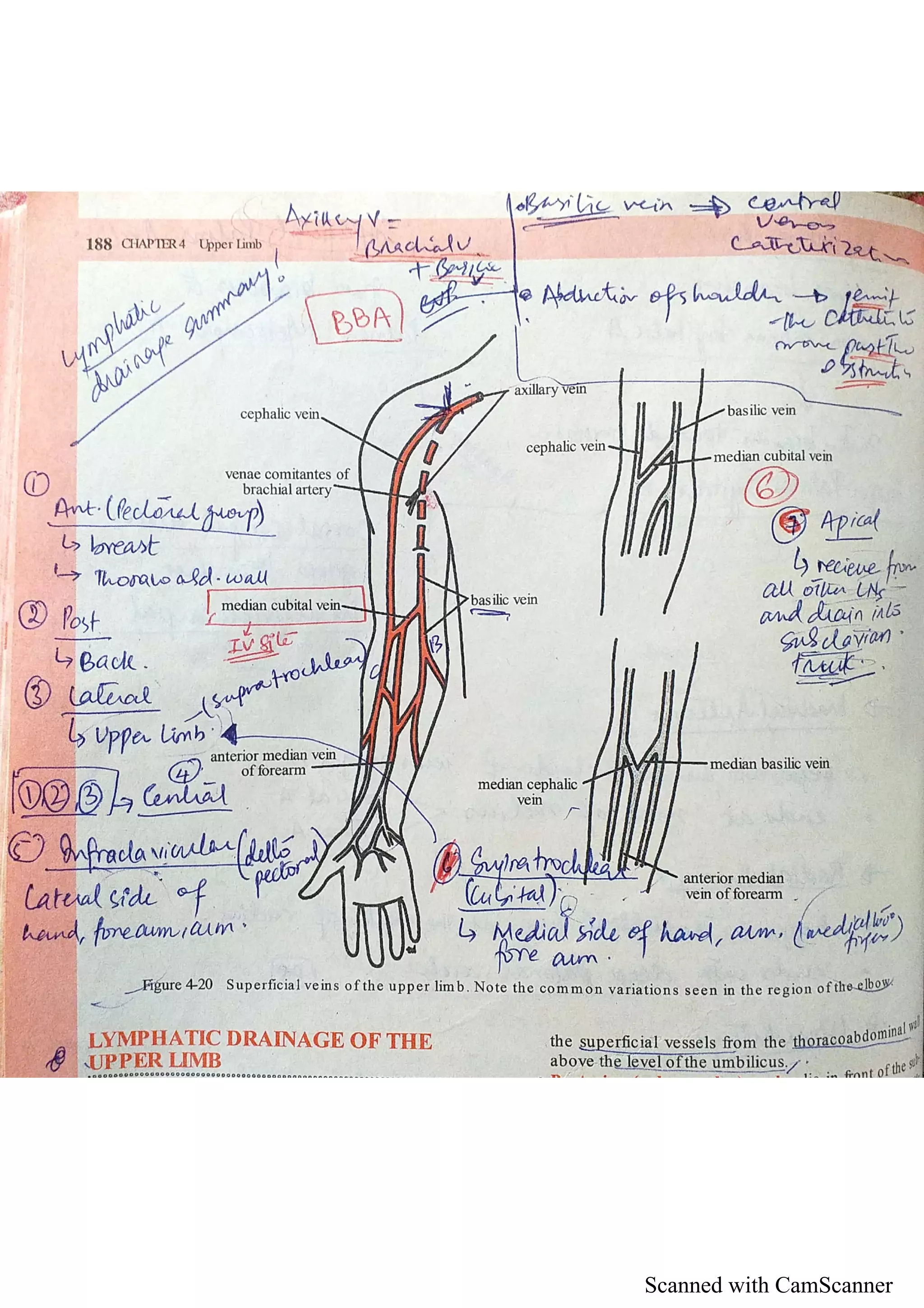 Scanned with CamScanner