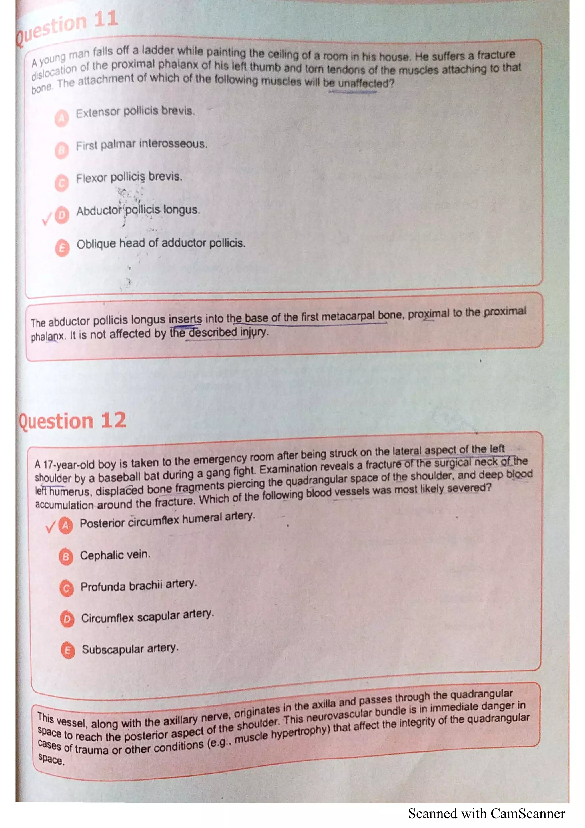 Scanned with CamScanner