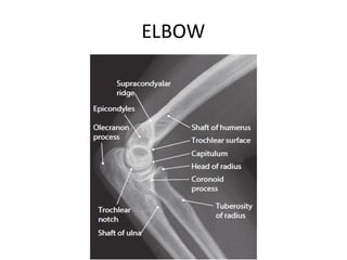 Upper Limb Plain Radiology: DR. MITESH J. PATEL(M.S ORTHO) | PDF