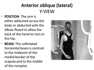 Upper Limb Plain Radiology: DR. MITESH J. PATEL(M.S ORTHO) | PDF