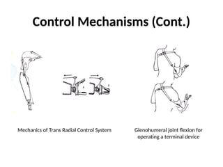 Control Mechanisms (Cont.)
Mechanics of Trans Radial Control System Glenohumeral joint flexion for
operating a terminal device
 