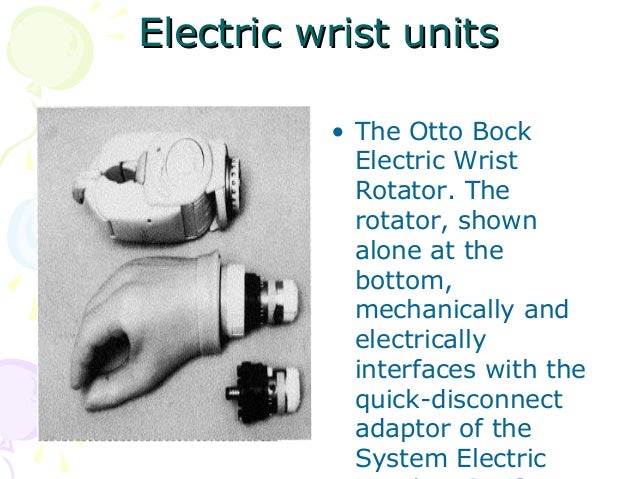 Elbow joint anatomy picture