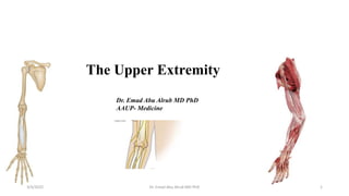 The Upper Extremity
3/4/2022 1
Dr. Emad Abu Alrub MD PhD
Dr. Emad Abu Alrub MD PhD
AAUP- Medicine
 