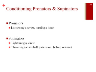 +
Conditioning Pronators & Supinators
Pronators
 Loosening a screw, turning a door
Supinators
 Tightening a screw
 Throwing a curveball (extension, before release)
18
 