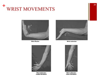 +
WRIST MOVEMENTS
26
 