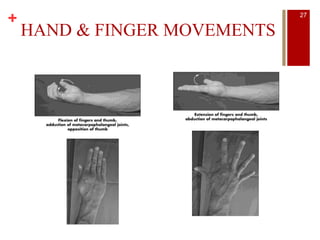 +
HAND & FINGER MOVEMENTS
27
 