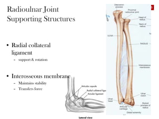 Radioulnar Joint
Supporting Structures
• Radial collateral
ligament
– support & rotation
• Interosseous membrane
– Maintains stability
– Transfers force
8
 