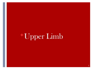 + Upper Limb
1
 