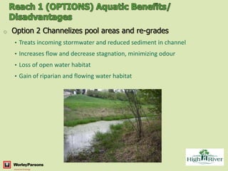 o   Option 2 Channelizes pool areas and re-grades
    • Treats incoming stormwater and reduced sediment in channel
    • Increases flow and decrease stagnation, minimizing odour
    • Loss of open water habitat
    • Gain of riparian and flowing water habitat
 