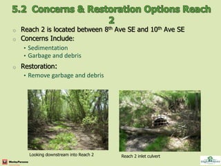 o Reach 2 is located between 8th Ave SE and 10th Ave SE
o Concerns Include:
   • Sedimentation
   • Garbage and debris
o   Restoration:
     • Remove garbage and debris




      Looking downstream into Reach 2   Reach 2 inlet culvert
 