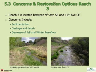 o   Reach 3 is located between 9th Ave SE and 12th Ave SE
o   Concerns Include:
    • Sedimentation
    • Garbage and debris
    • Decrease of Fall and Winter baseflow




     Looking upstream from 12th Ave SE   Looking east Reach 3
 