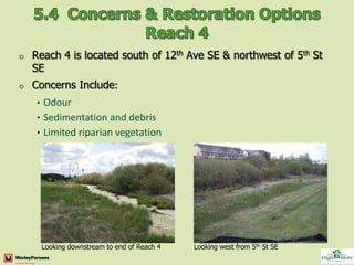 o   Reach 4 is located south of 12th Ave SE & northwest of 5th St
    SE
o   Concerns Include:
    • Odour
    • Sedimentation and debris
    • Limited riparian vegetation




     Looking downstream to end of Reach 4   Looking west from 5th St SE
 