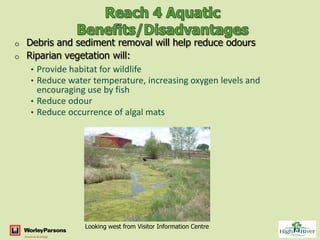 o Debris and sediment removal will help reduce odours
o Riparian vegetation will:
   • Provide habitat for wildlife
   • Reduce water temperature, increasing oxygen levels and
     encouraging use by fish
   • Reduce odour
   • Reduce occurrence of algal mats




                Looking west from Visitor Information Centre
 