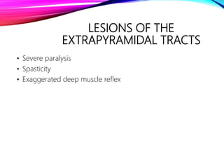 LESIONS OF THE
EXTRAPYRAMIDAL TRACTS
• Severe paralysis
• Spasticity
• Exaggerated deep muscle reflex
 