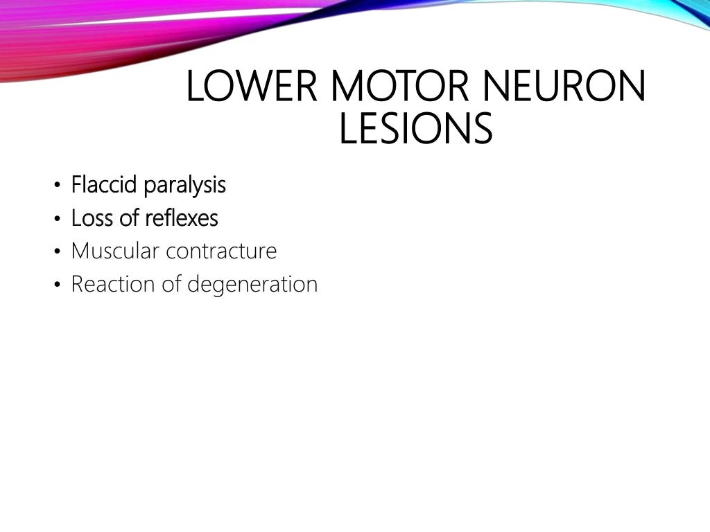 Upper and Lower motor neuron lesions